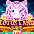 Lotus Land thumbnail