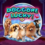 Doggone Lucky thumbnail